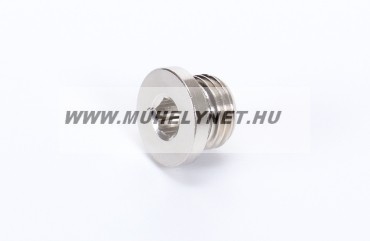 Image of Záró dugó imbusz peremes 1/4"