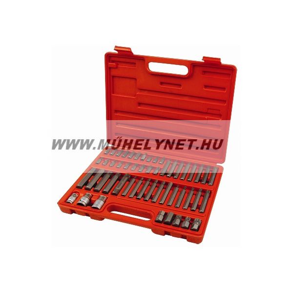 Image of Bit készlet 51 db-os HEX-TORX-XZN Extol Prémium