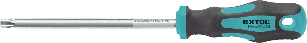 Image of Csavarhúzó torx T40x125 mm